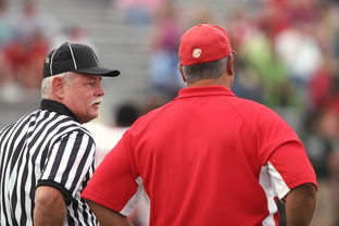 九游下载官方正版-意甲裁判语义分析辅助判罚准确性的应用探讨，意甲 裁判